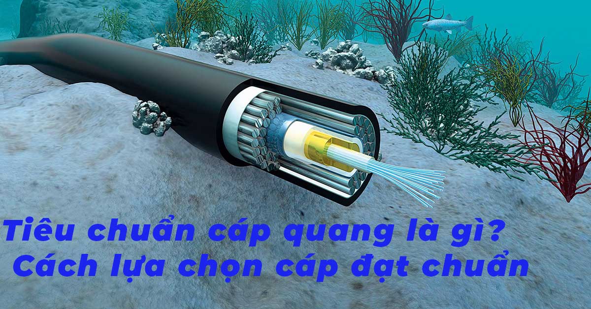 Tiêu chuẩn cáp quang là gì? Cách lựa chọn cáp đạt chuẩn