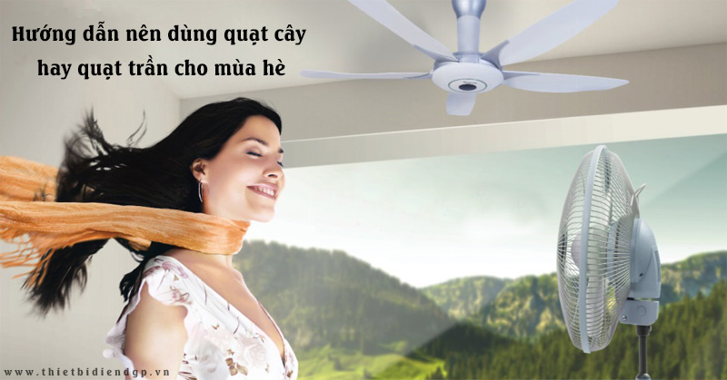 Hướng dẫn nên dùng quạt cây hay quạt trần cho mùa hè