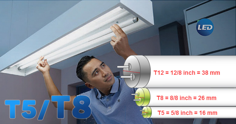 Phân biệt đèn tuýp LED T5, T8 dễ dàng