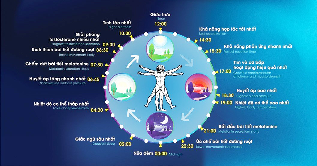 Ánh sáng và vai trò thiết yếu đối với sức khỏe con người