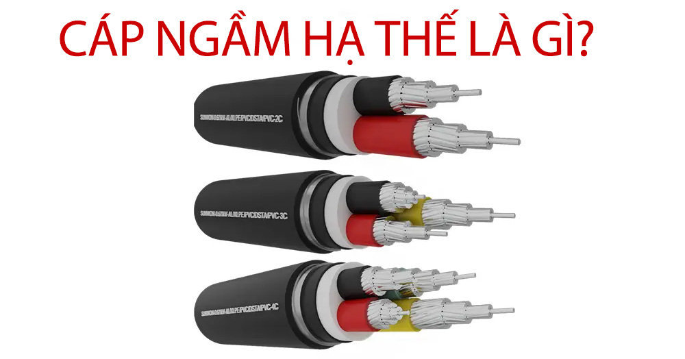 Cáp ngầm hạ thế là gì? Có những loại nào? Ứng dụng của cáp điện ngầm hạ thế