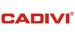 Cadivi
