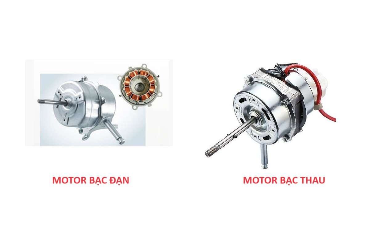 Sự khác nhau giữa Motor Bạc Thau Và Bạc Đạn