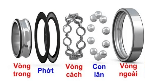 Cấu tạo Motor Bạc Đạn