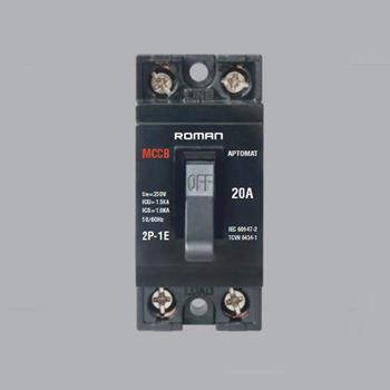 Aptomat khối loại 2P-1E RCB20A RCB20A