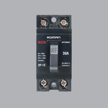 Aptomat khối loại 2P-1E RCB30A RCB30A