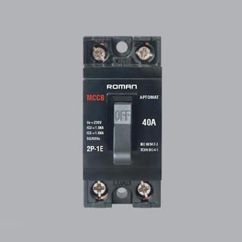 Aptomat khối loại 2P-1E RCB40A RCB40A