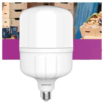 Bóng Led Bulb trụ Megaman YTT120X1 40W HB YTT120X1 40W HB