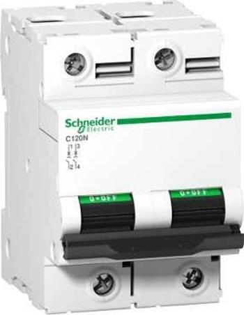 Cầu dao tự động MCB C120N 2P 10kA 230V A9N18360
