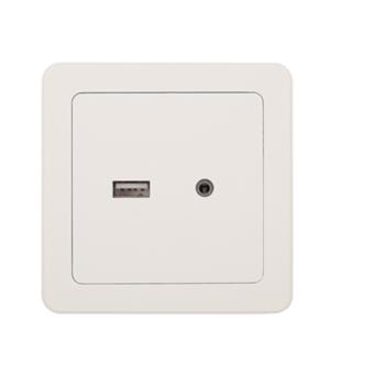 Ổ cắm USB + 3.5mm AUDIO WGCHUSB35