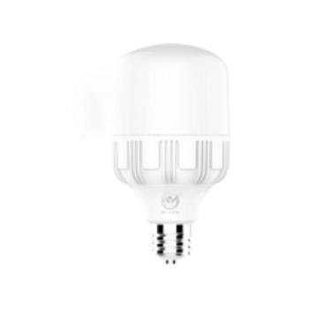 Bóng đèn bulb trụ BOB 5W-65W TR50-5