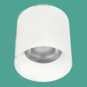 Đèn Lon ốp nổi Euroto LN-233 Ø130*H130 30W IP65 LN-233