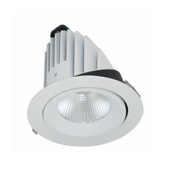 Đèn Led downlight chiếu sâu 50W BIB0501