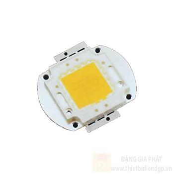 Bóng fa led 50W ánh sáng trắng, vàng BÓNG FA LED 50W