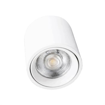 Đèn lon ốp trần VinaLED V4CLA-20 20W V4CLA-20