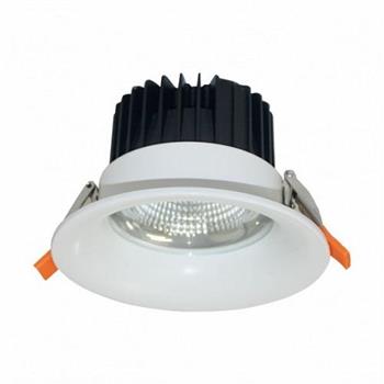 Đèn Downlight Chiếu Sâu Trần Cao - 30W DFA0305