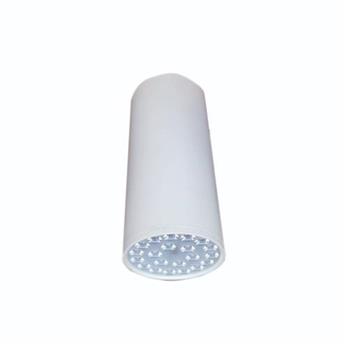 Đèn Led chiếu sâu gắn nổi trang trí DIB2033