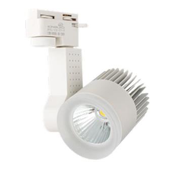 Đèn Led Rọi Ray BERYL 30W (DTL SS Series) Vỏ Trắng DTL-30SS-V/TT/T-T