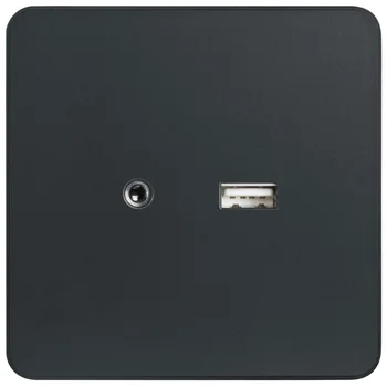 Ổ cắm USB + 3.5mm AUDIO màu đen WGDHUSB35KB