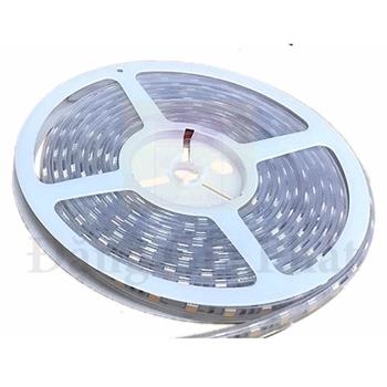 Đèn Led dây 5050 Paragon 14,4W LED5050