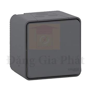 Bộ công tắc đơn 2 cực 16AX MUR35033