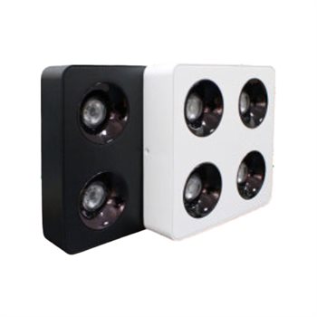 Đèn ốp trần Led Mounted downlight bốn bóng ENA-LOD4 1CĐ ENA-LOD4