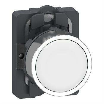 Nút nhấn nhả Schneider XA2AA11