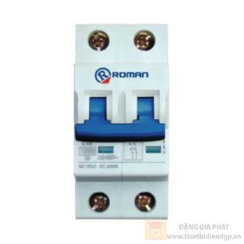 Aptomat tép T9 2 cực dòng cắt 10kA-2P 40A RA240