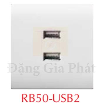 Ổ cắm usb đôi + ổ cắm đa năng RB50-USB2