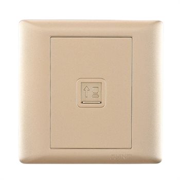 Bộ ổ cắm mạng đơn Cat 5e 8 lõi CHINT NEW7-G20402A Champagne NEW7-G20402A