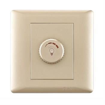 Dimmer điều chỉnh đèn CHINT NEW7-G30512A Champagne 500W NEW7-G30512A
