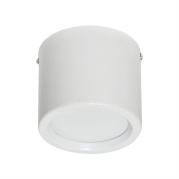 Đèn ốp nổi cao cấp Anfaco AFC 646 T vỏ trắng AFC 646 T