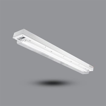 Đèn phòng chống nổ EEW BHY/X (2 bóng x 1.2m) BHY/X