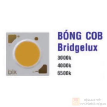 BÓNG COB Bridgelux BÓNG COB Bridgelux