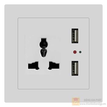 Bộ ổ cắm đa năng và 2 cổng USB Duhal cổ điển S1 series CxB427