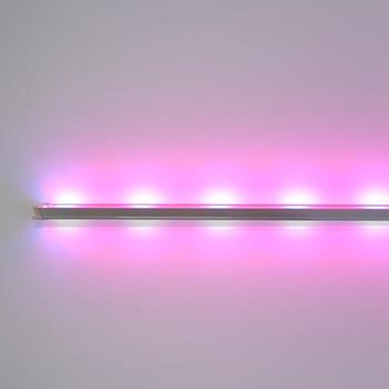 Đèn LED chuyên dụng trồng rau 1,2m TRR01 1200/25W 30B/70R