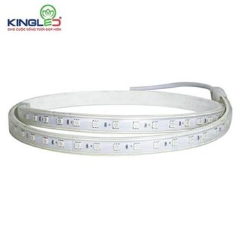 Đèn Led dây KingEco EC-LD-7-5050- RGB 7W/m EC-LD-7-5050- RGB