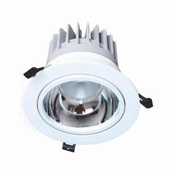 Đèn Led downlight chiếu điểm âm trần 20W DFA0202