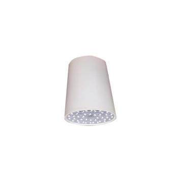 Đèn Led chiếu sâu gắn nổi trang trí Ø200 DIB1033