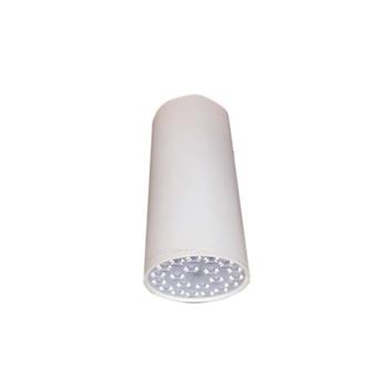 Đèn Led chiếu sâu gắn nổi trang trí 21W DIB1213