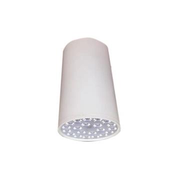 Đèn Led chiếu sâu gắn nổi trang trí 18W DIB1153