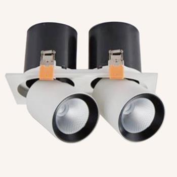 Đèn âm trần Vinaled 50W DL-PW2x25