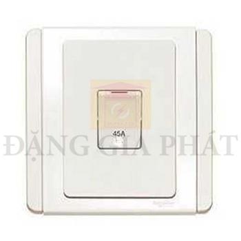 45A DP switch E3031DR45_WW