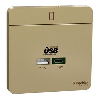 Bộ ổ USB sạc Type A+C, 45 W, màu ánh kim E832USB45_WG