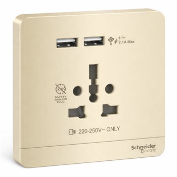 Ổ cắm đa năng và 2 ổ sạc USB màu vàng ánh kim E8342616USB_WG_G19