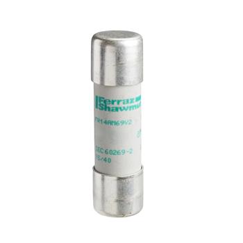 Cầu chì bảo vệ Schneider DF2EA DF2EA