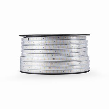Led dây chiếu sáng Rạng Đông LD03 LD03