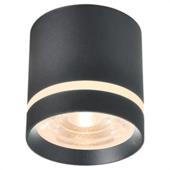 Đèn lon ốp trần Euroto LN-166 Ø85*H90 COB 10W LN-166