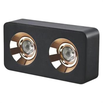 Đèn Lon ốp nổi Euroto LN-196 L225*W115*H60 12W*2 LN-196