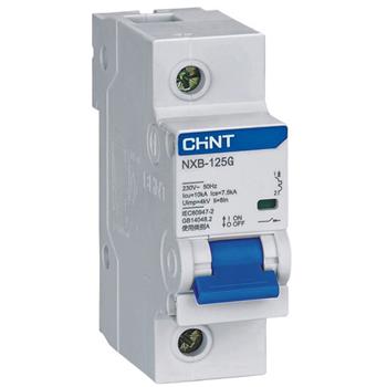 Cầu dao tự động CHINT MCB NXB-125G 1P-10kA NXB-125G-1
